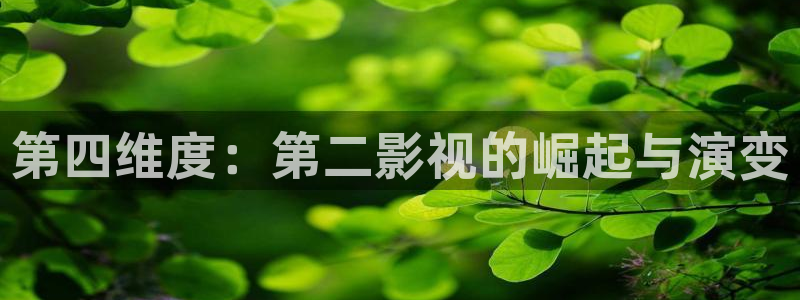 奇怪的美发沙龙奇优影院：第四维度：第二影视的崛起与演变