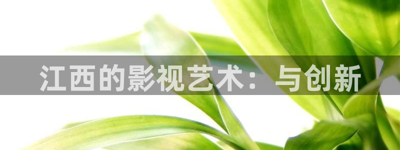 奇优影视电影高清：江西的影视艺术：与创新