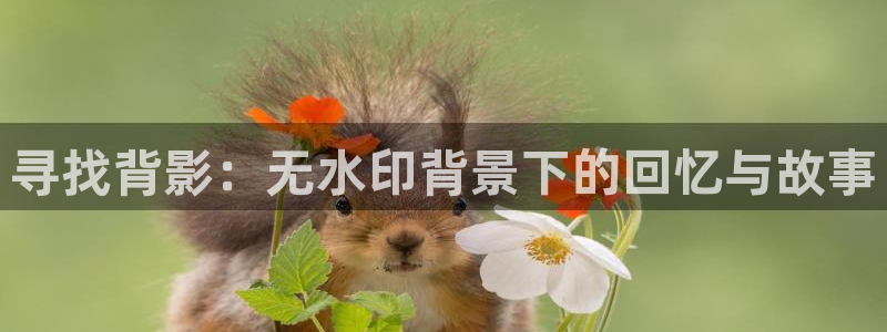 奇优影院在线观看免费高清完整版：寻找背影：无水印背景下的回忆与故事